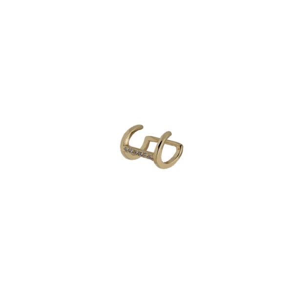 "Hug Earring"