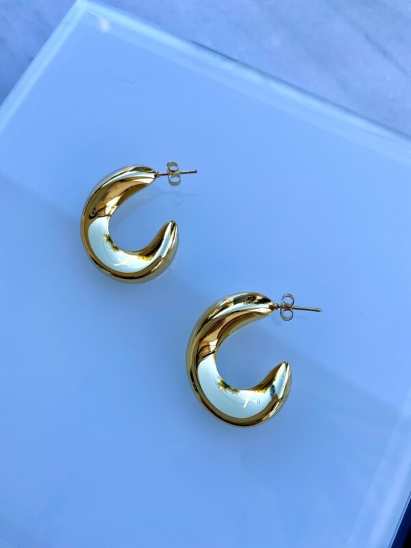 California Hoops - Image 3